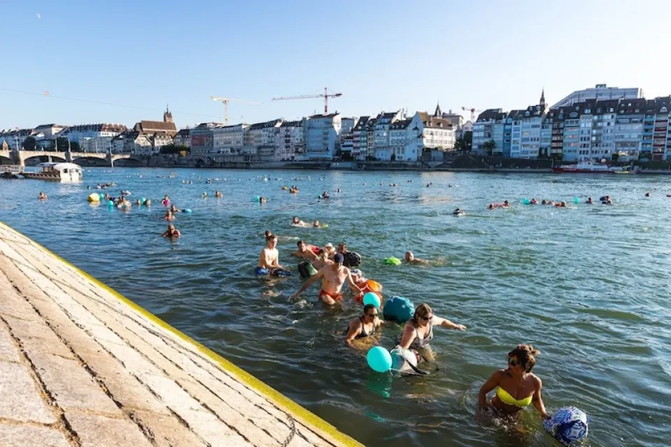 People swimming in Rhine River on a sunny day with low-rise, dense buildings along waterfront in background.